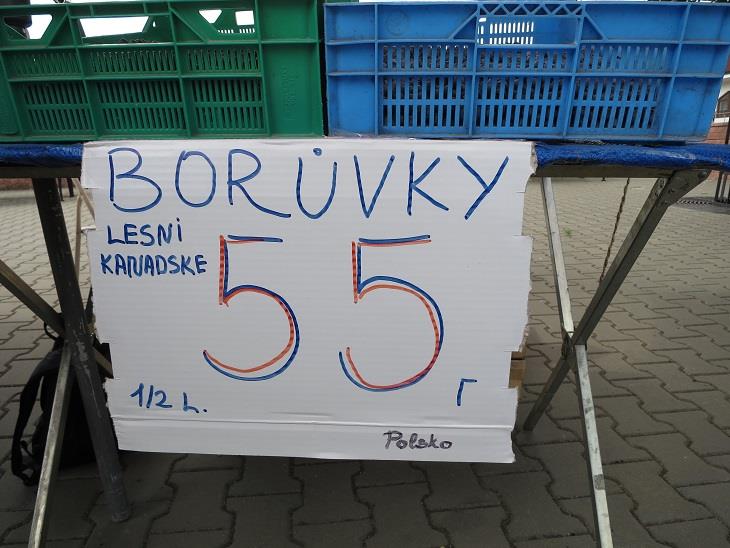 Borůvky