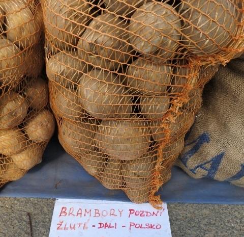 Brambory konzumní pozdní, odrůda DALI