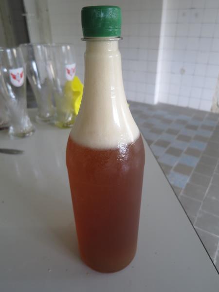 MANNER 11°, pivo světlý ležák