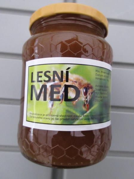 Lesní med