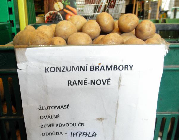 Brambory konzumní rané