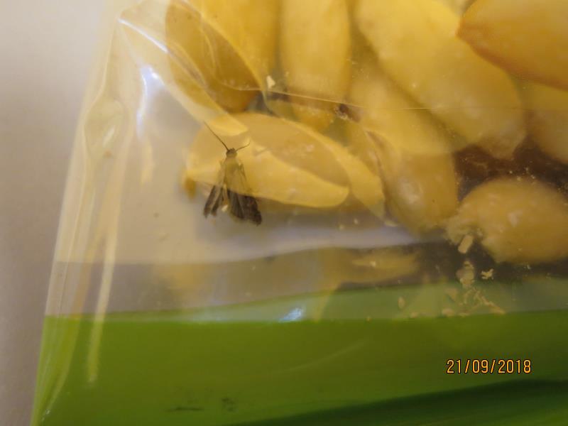 Illustrative photo no. 6