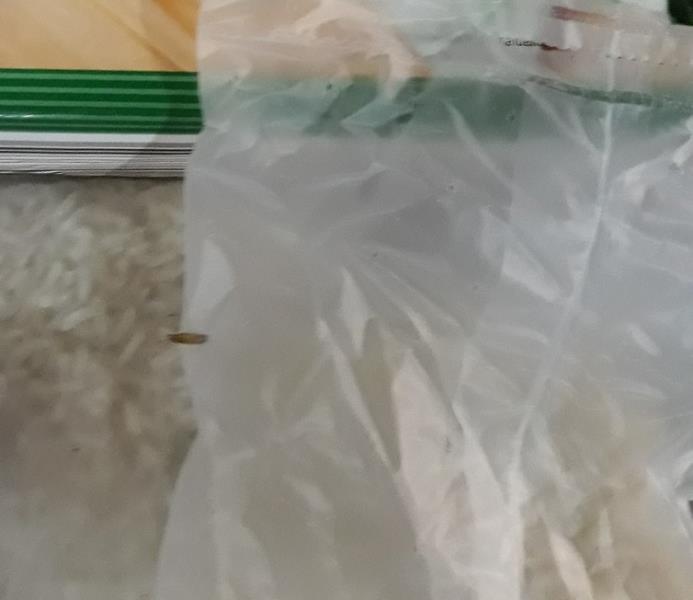 Long Grain Rice