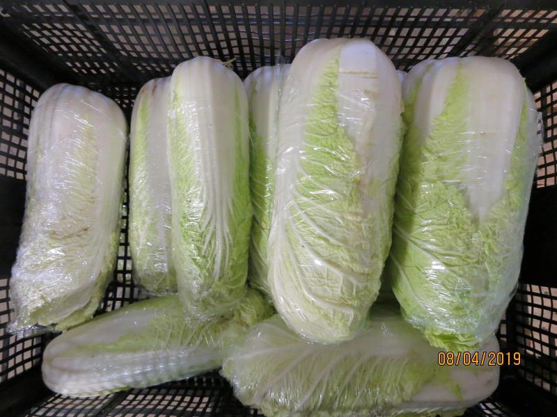 Zelí pekingské