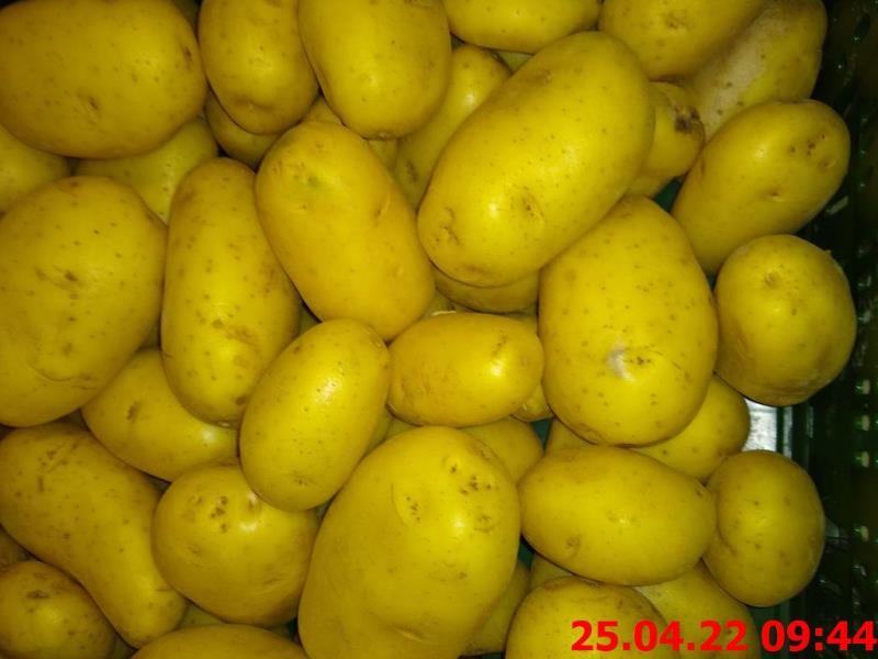 Illustrative photo no. 3