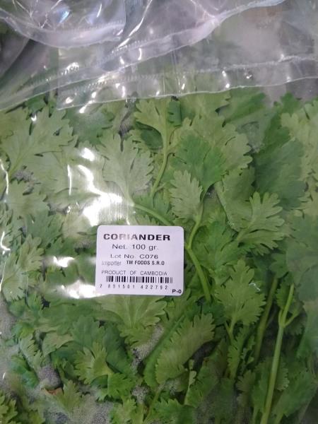 CORIANDER