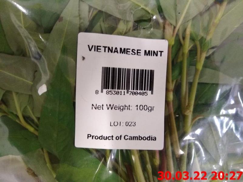 VIETNAMESE MINT