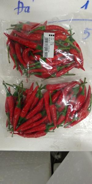 Chilli