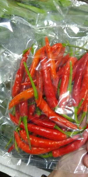 ỚT ĐỎ - RED CHILLI