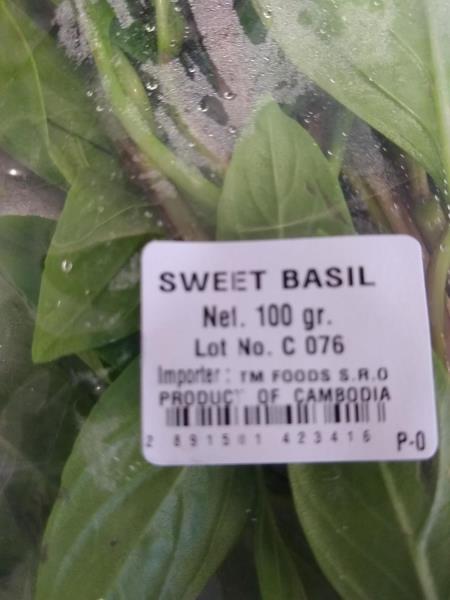 SWEET BASIL