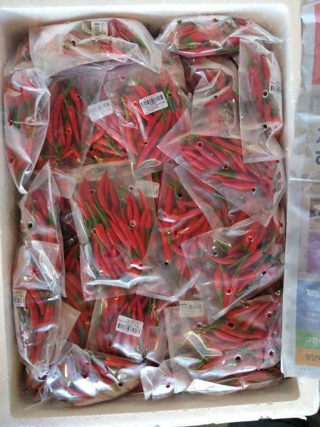 Ớt (đỏ) nhỏ đỏng túi; Chilli (red) 100g