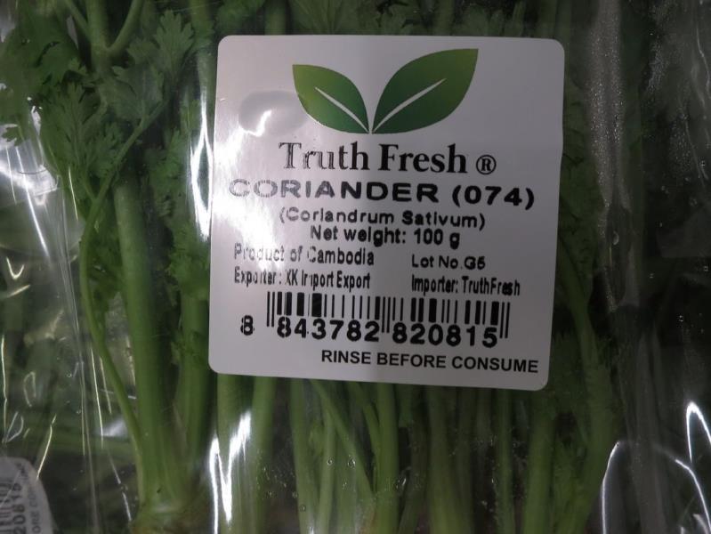 CORIANDER (074)