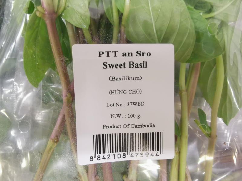 Sweet Basil (Basilikum) (HÚNG CHÓ)