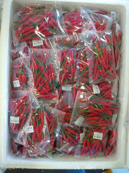 Ởt đỏ nhỏ đóng túi 100g; Chilli (red) 100 g