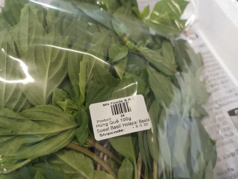 Húng Quế 100g; Sweet Basil / Holapa / Basilik