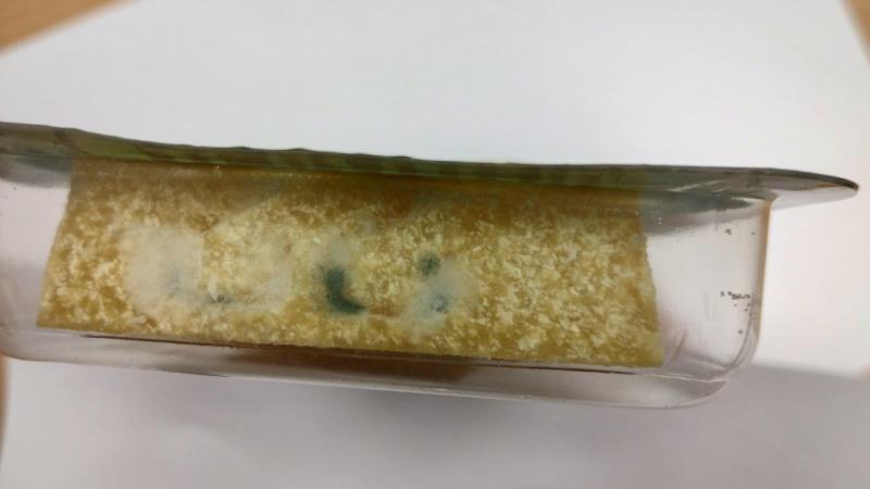 Illustrative photo no. 3