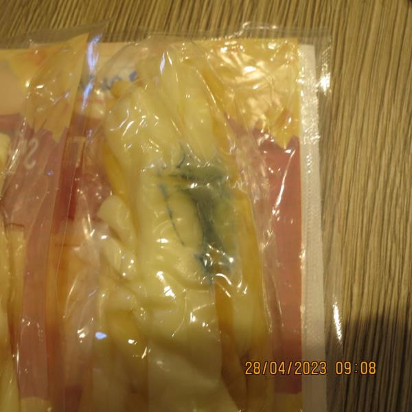 Illustrative photo no. 8