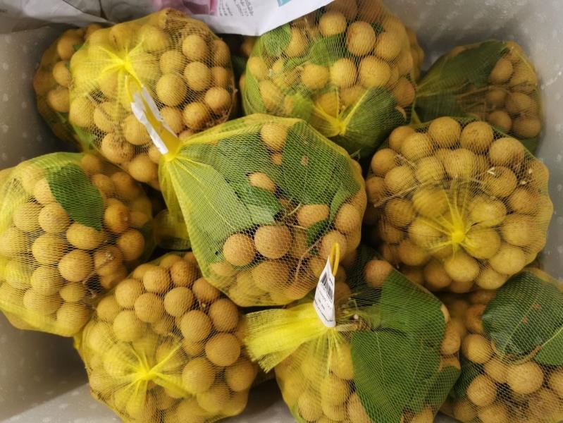 LONGAN