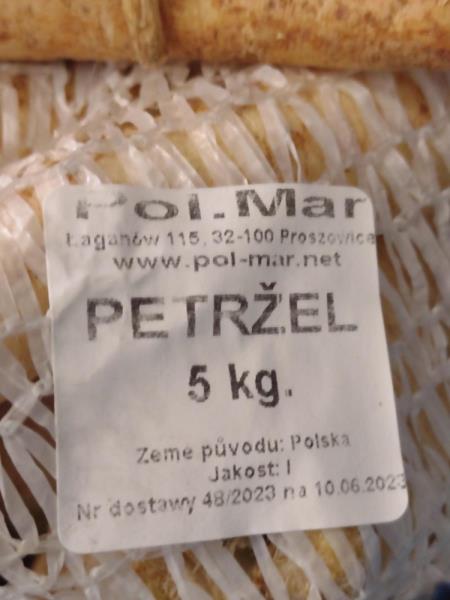 Petržel