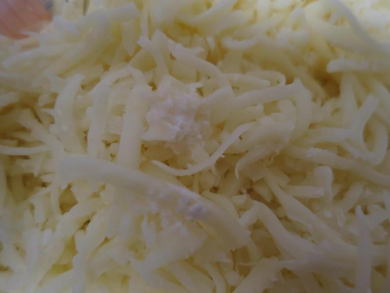 Illustrative photo no. 8