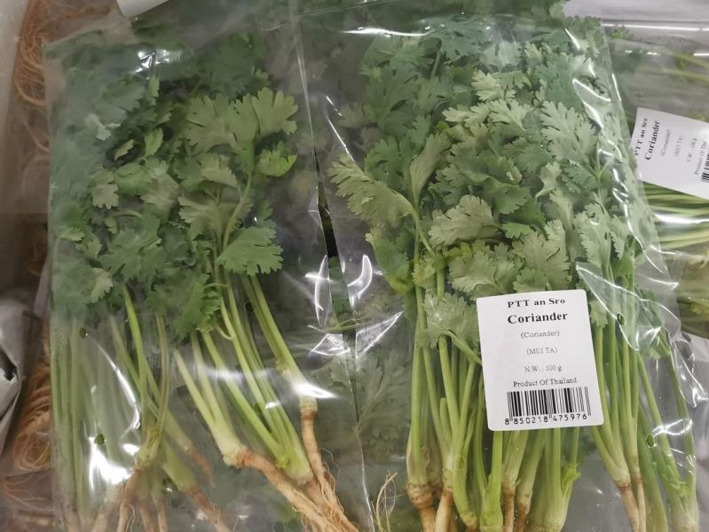 Coriander; (MUI TA)