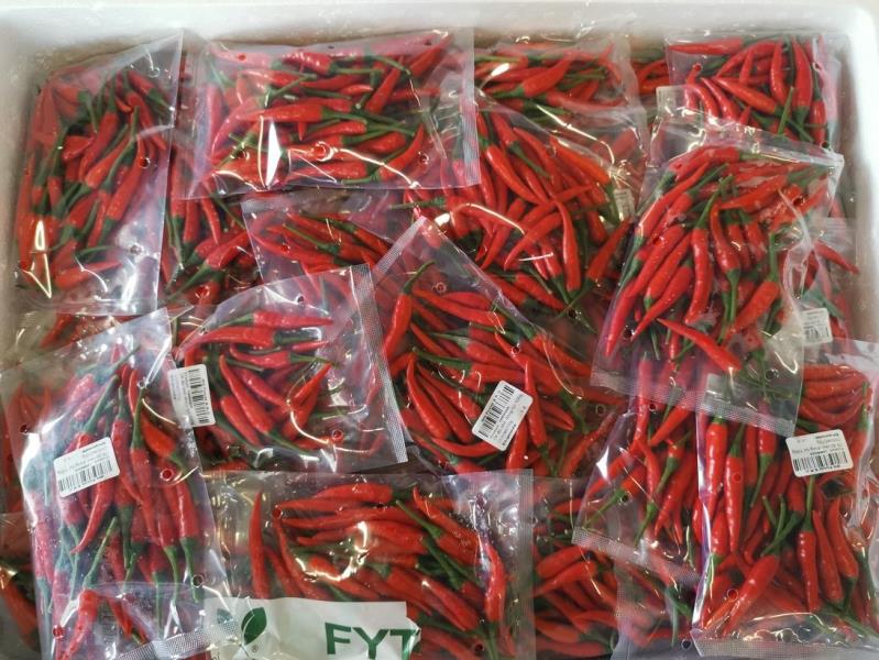 Ởt đỏ nhỏ đóng túi 100g; Chilli (red) 100g