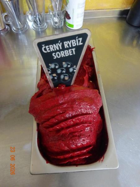 ČERNÝ RYBÍZ SORBET