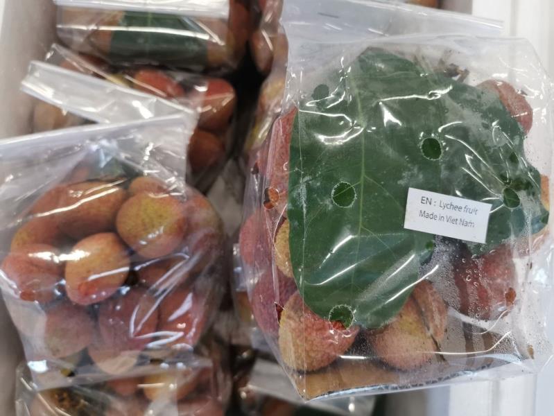 EN: Lychee fruit