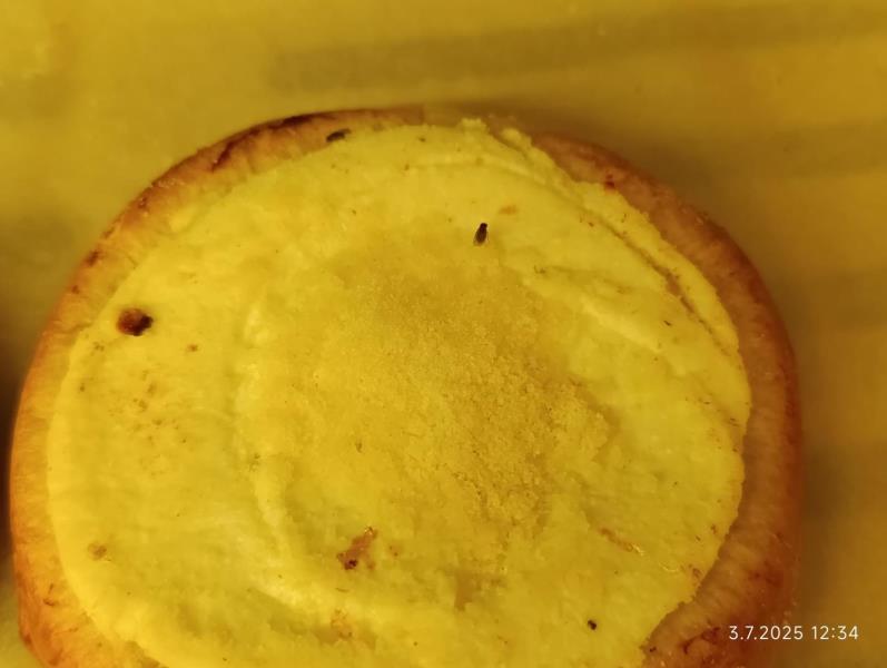 Ilustrační fotografie č. 10