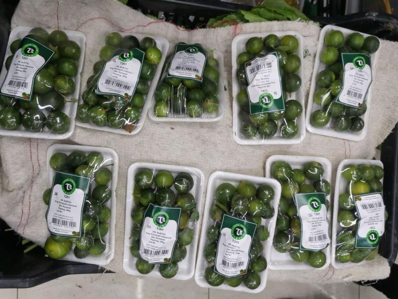 VN: Quat/Tac, Eng: Kumquat/ Calamansi, Ger: Kumquat