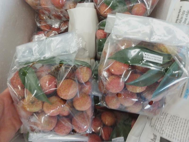 EN: Lychee fruit