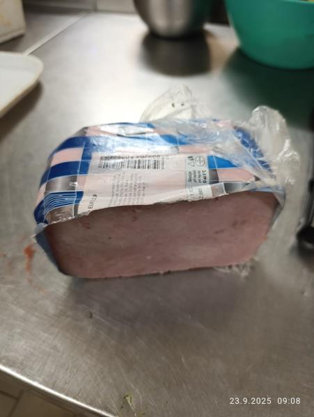 Ilustrační fotografie č. 2