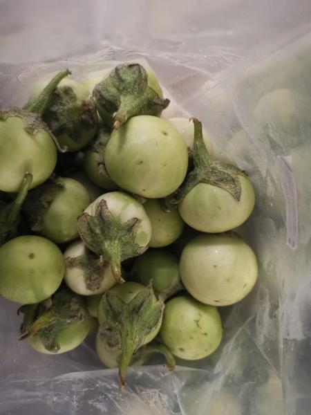 EN : Green eggplant
