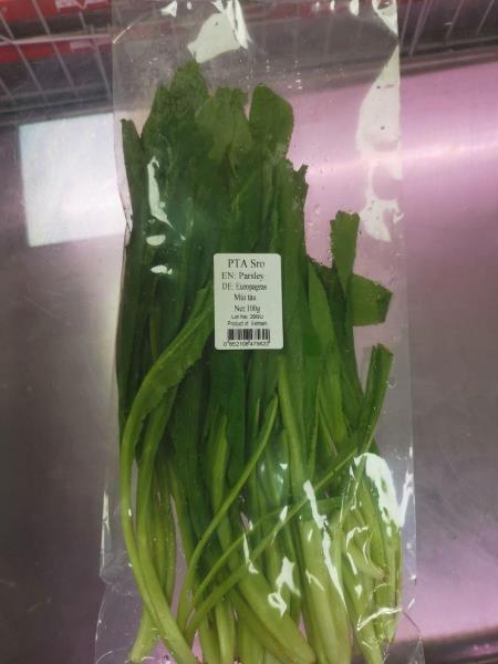 EN: Parsley; DE: Europagras; Mùi Tàu
