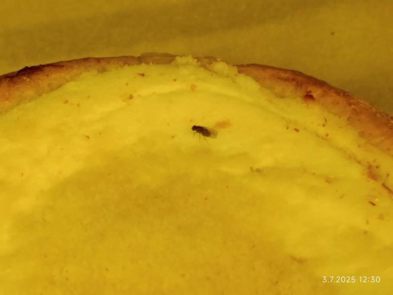 Ilustrační fotografie č. 3