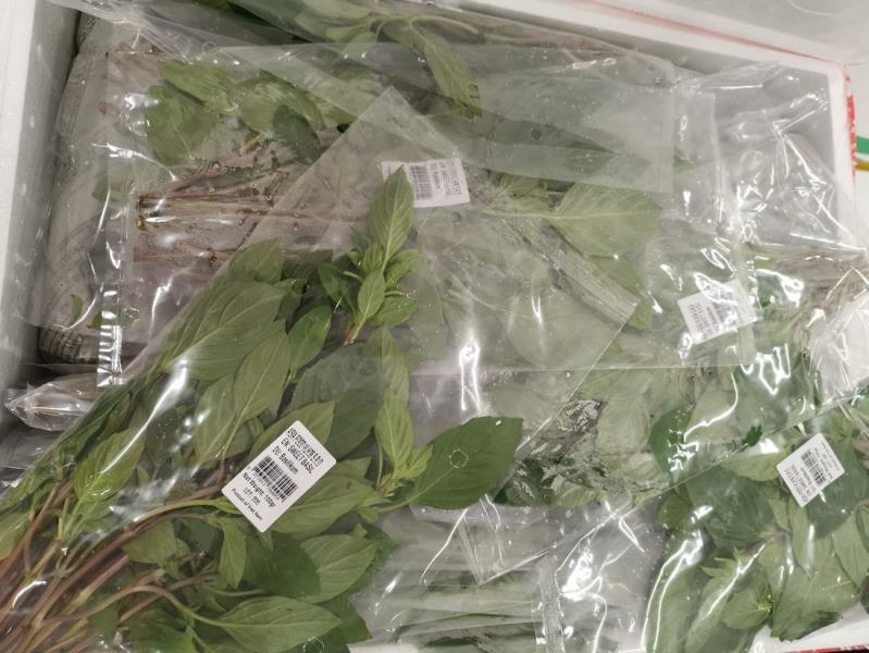 EN: SWEET BASIL; DU: Basilikum