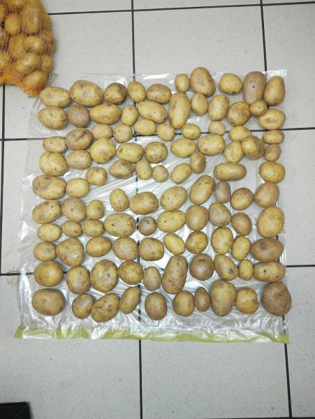 Illustrative photo no. 2