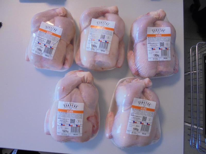 Ilustrační fotografie č. 6