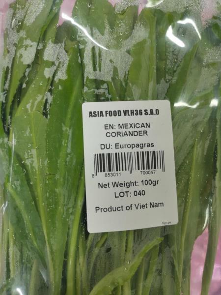 EN: MEXICAN CORIANDER; DU: Europagras