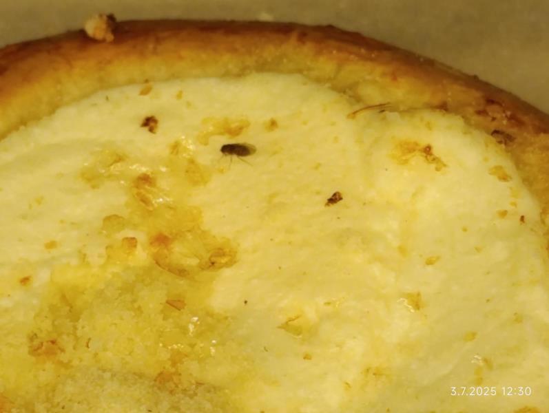 Ilustrační fotografie č. 8