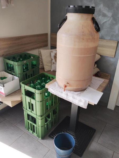 Burčák, Solaris, země původu Česká republika