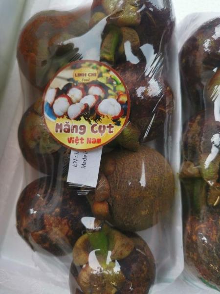 EN: MANGOSTEEN