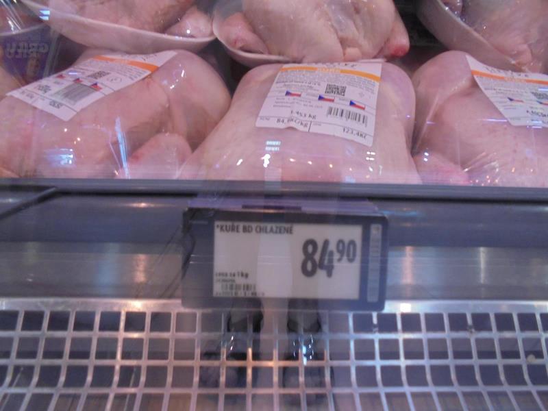 Ilustrační fotografie č. 8