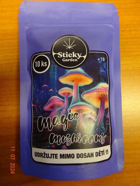 Magic Mushrooms