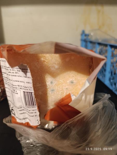 Ilustrační fotografie č. 2