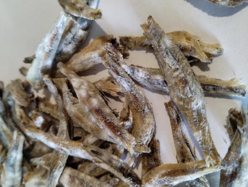 Ilustrační fotografie č. 8