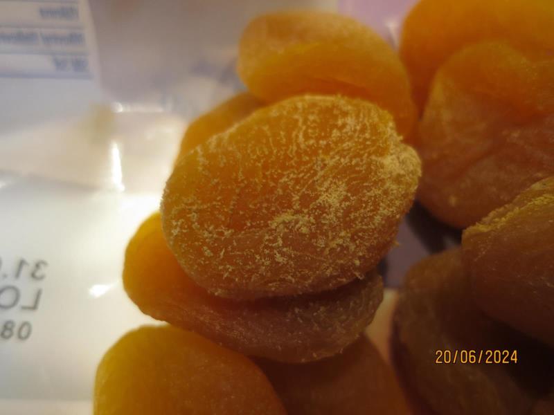 Illustrative photo no. 5