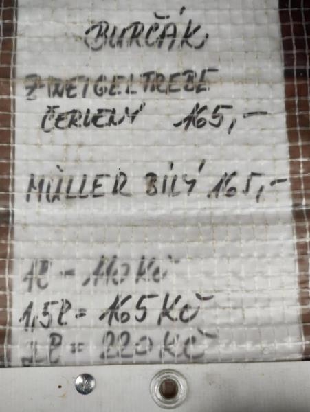 Burčák bílý - Muller