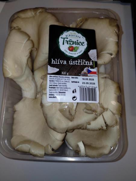 Ilustrační fotografie č. 2