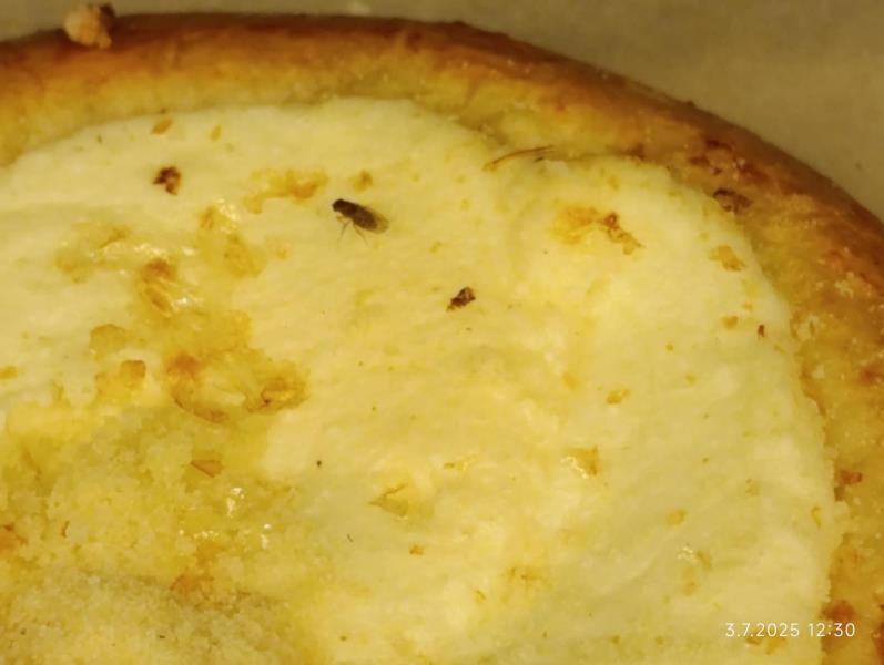 Ilustrační fotografie č. 7